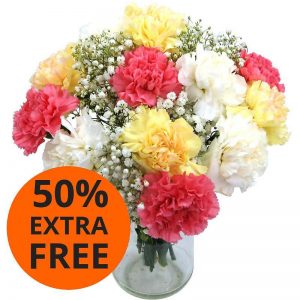 Mixed Carnations with 50% Extra Free