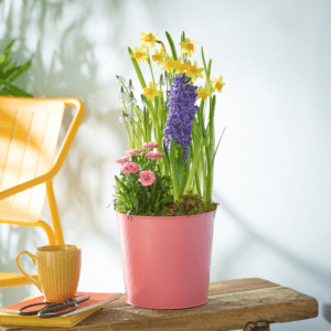 Uplifting Spring Pot